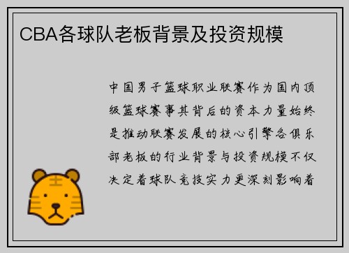 CBA各球队老板背景及投资规模