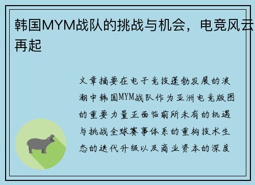 韩国MYM战队的挑战与机会，电竞风云再起