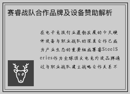 赛睿战队合作品牌及设备赞助解析